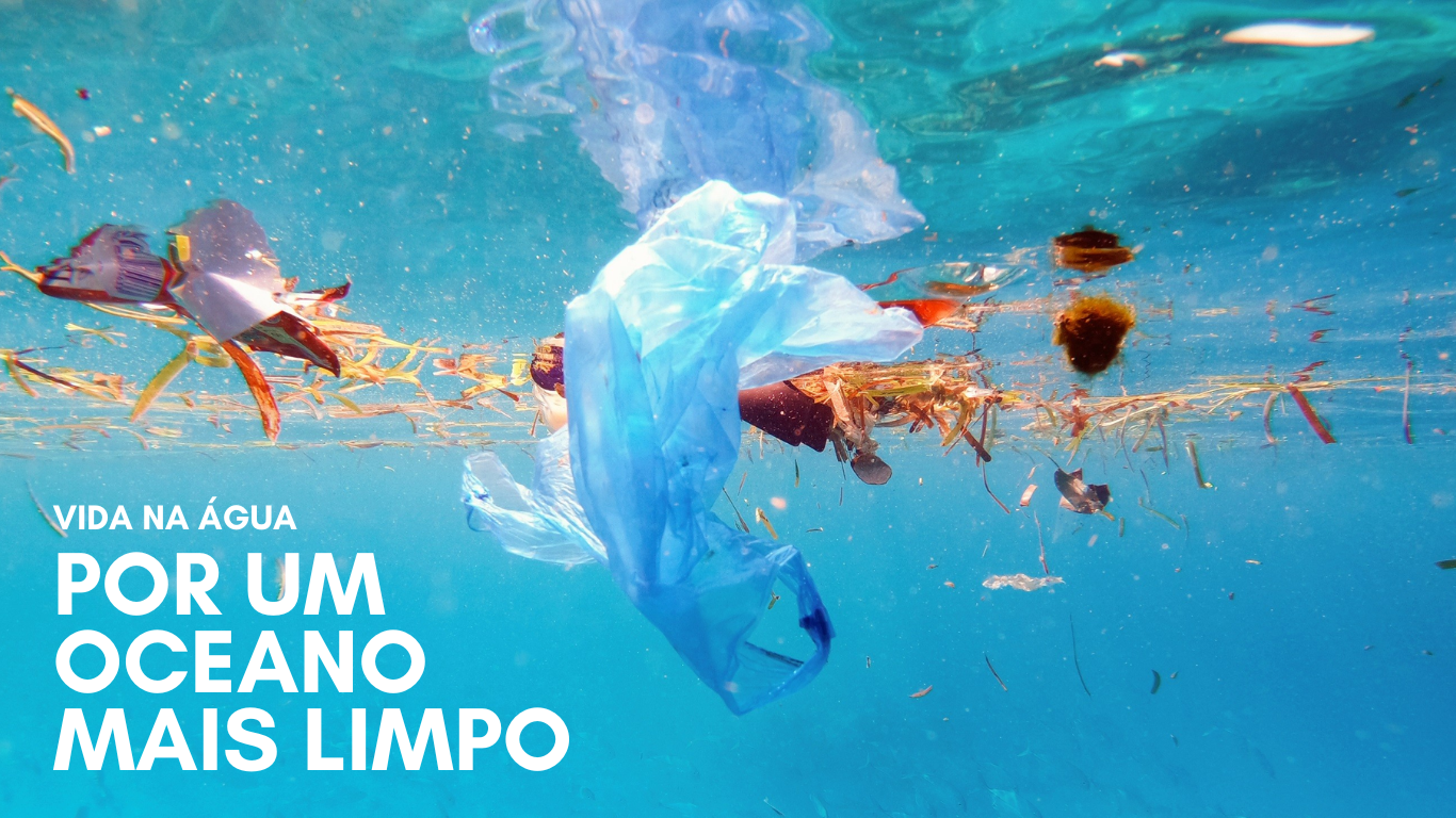 Campanha Mares Limpos